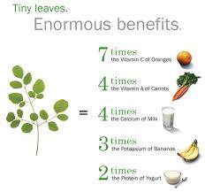  All about Moringa